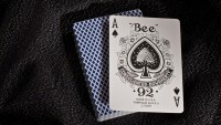 Bee Standard Index (blue)